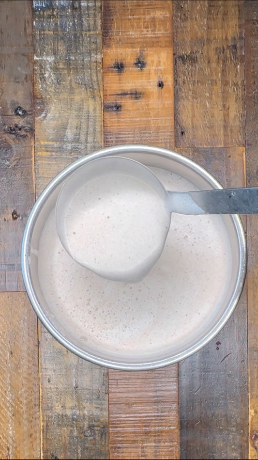 Chicken Paitan Blended Bone Broth